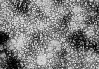 Recovery, 未标记的排版示意子图